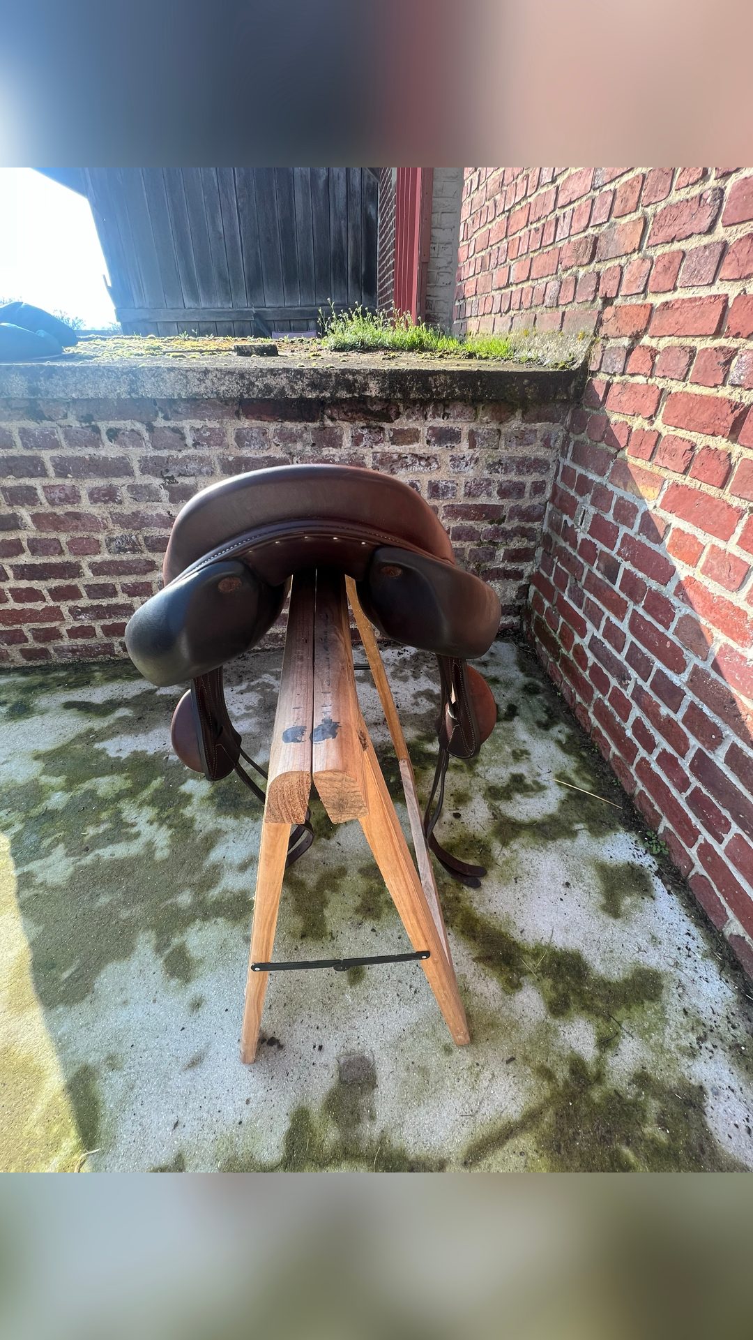 Selle Badbinton Forestier, média 5