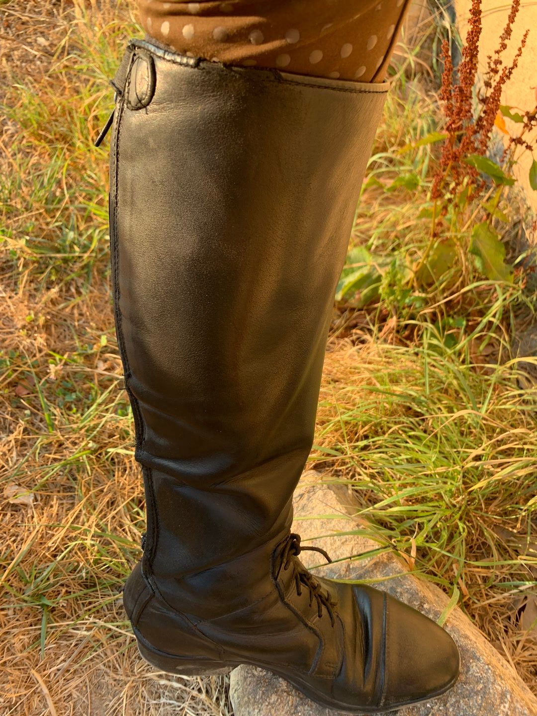 Bottes d’équitation en cuir  FELINI, média 7