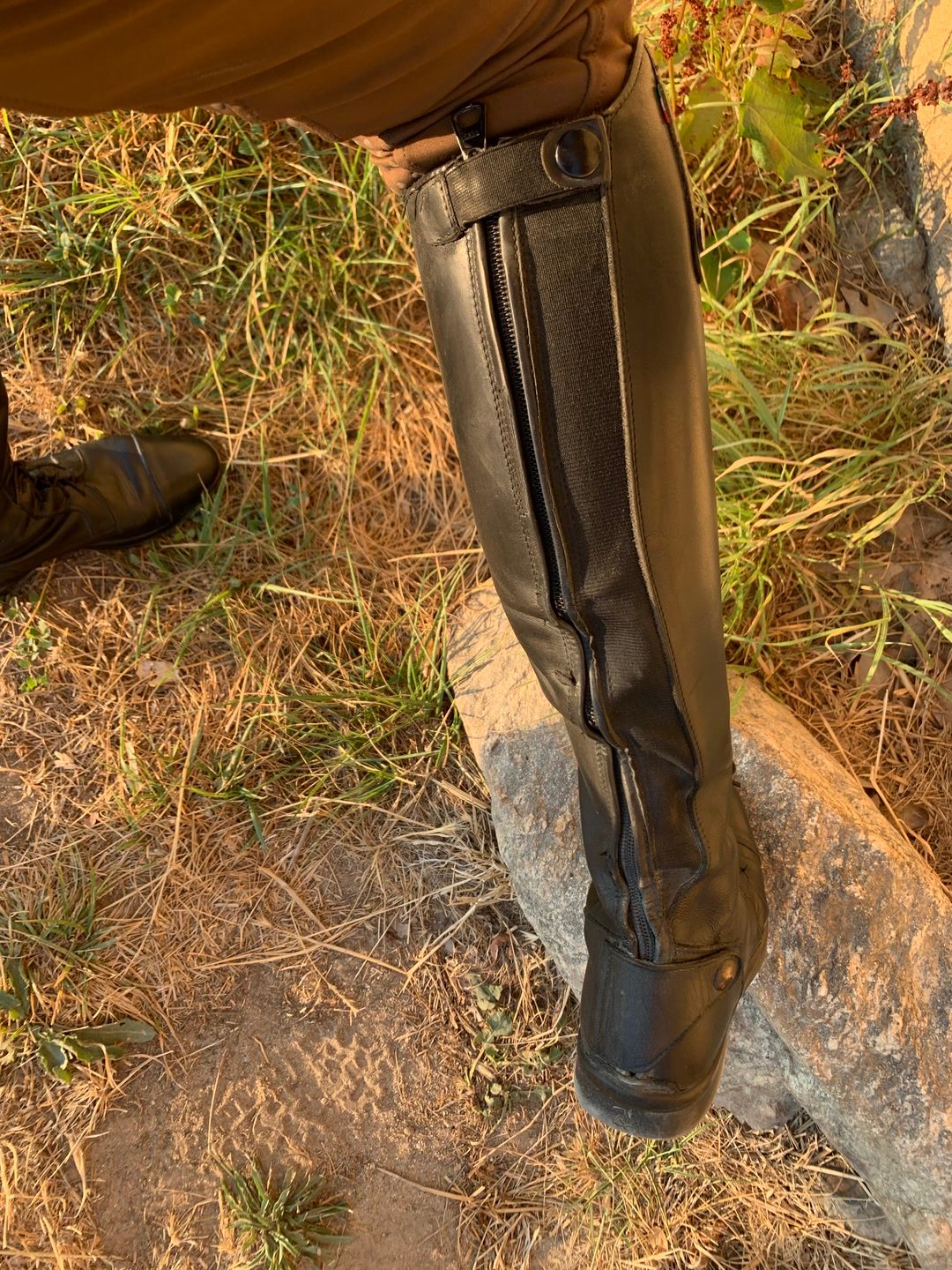 Bottes d’équitation en cuir  FELINI, média 9