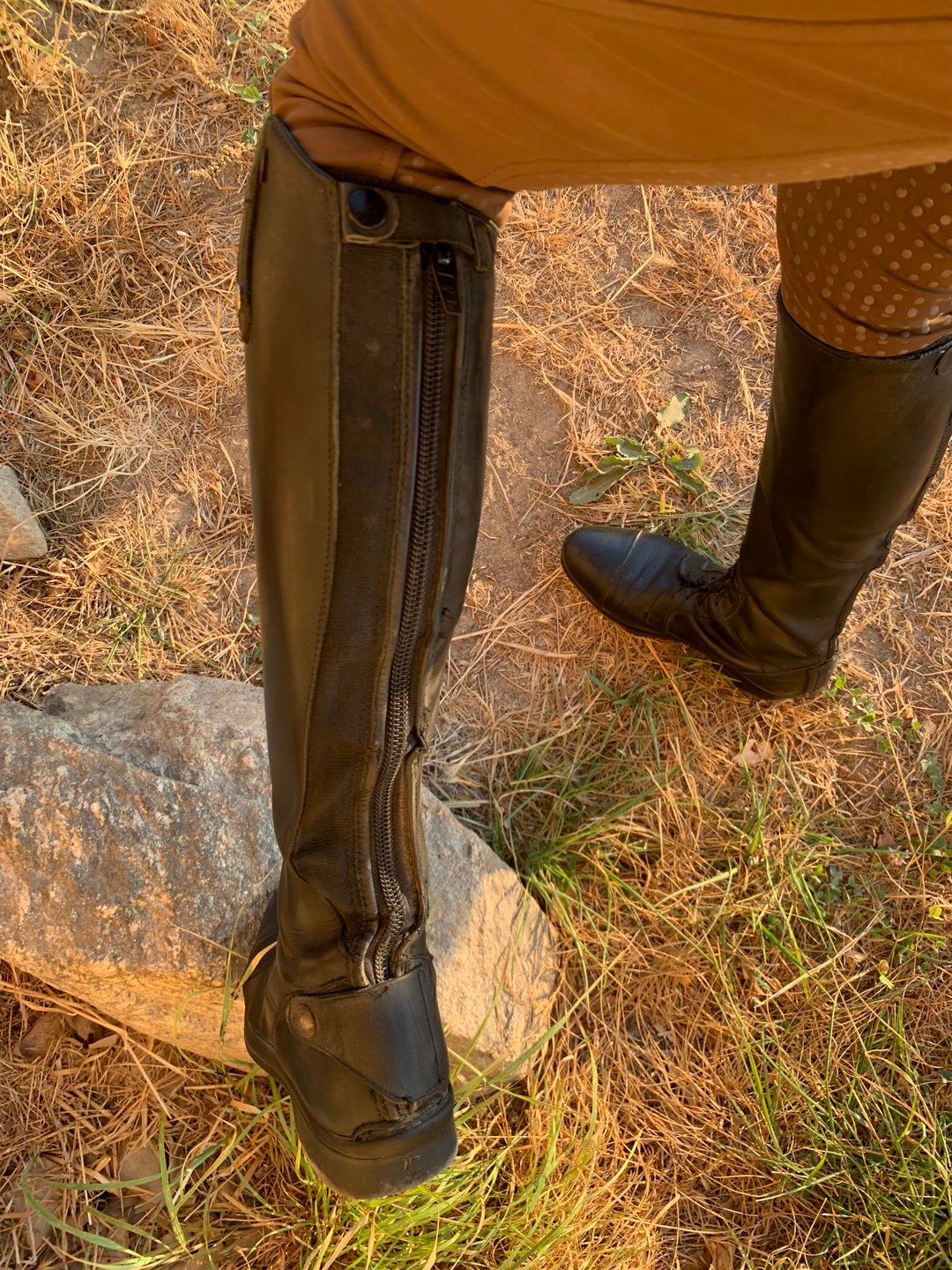 Bottes d’équitation en cuir  FELINI, média 10