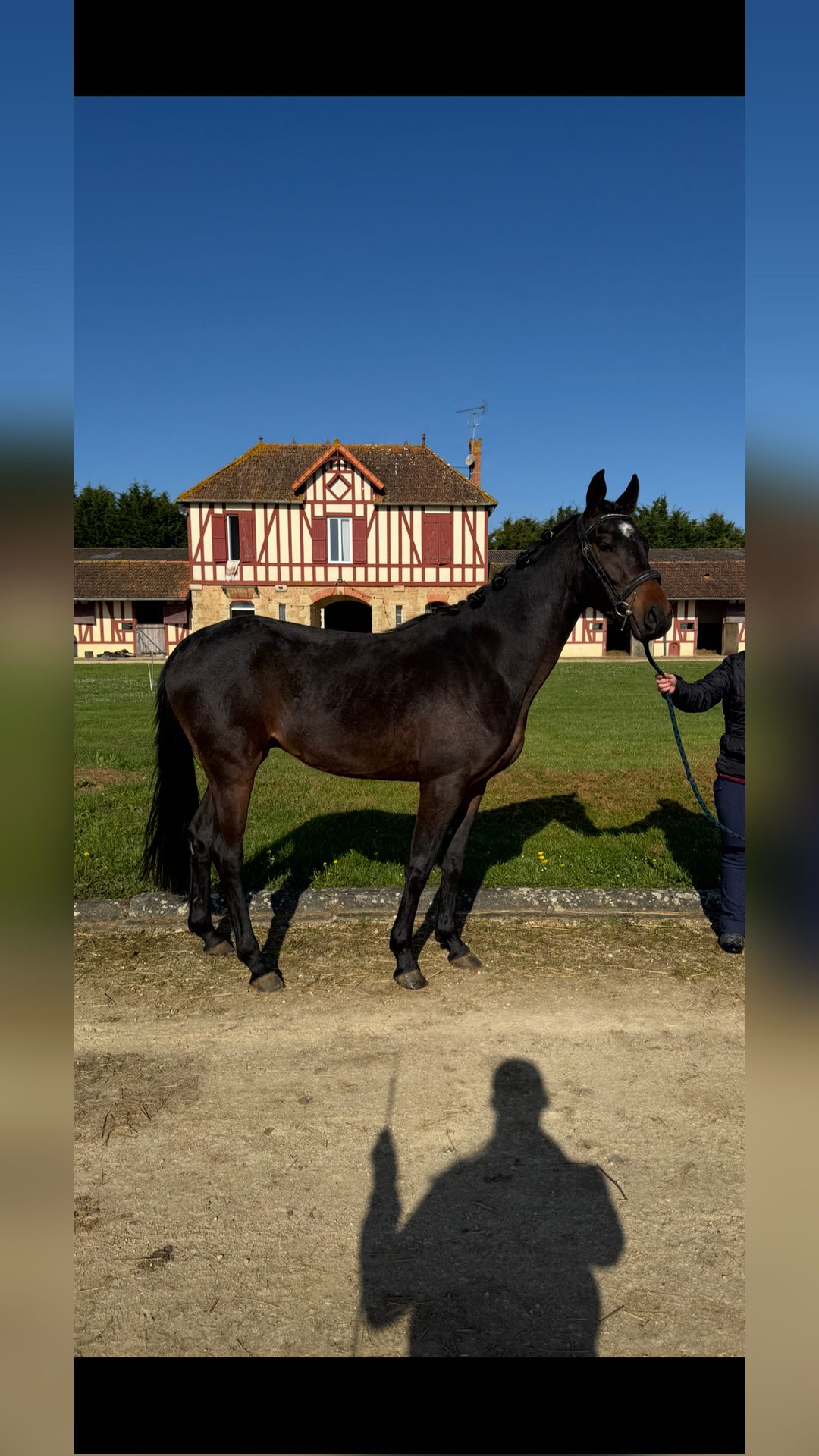 Écurie apollon, média 4