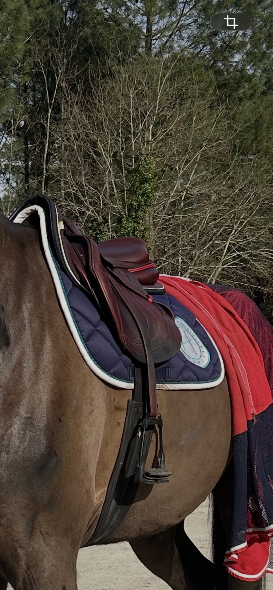 Selle CWD SE03 17,5, média 5