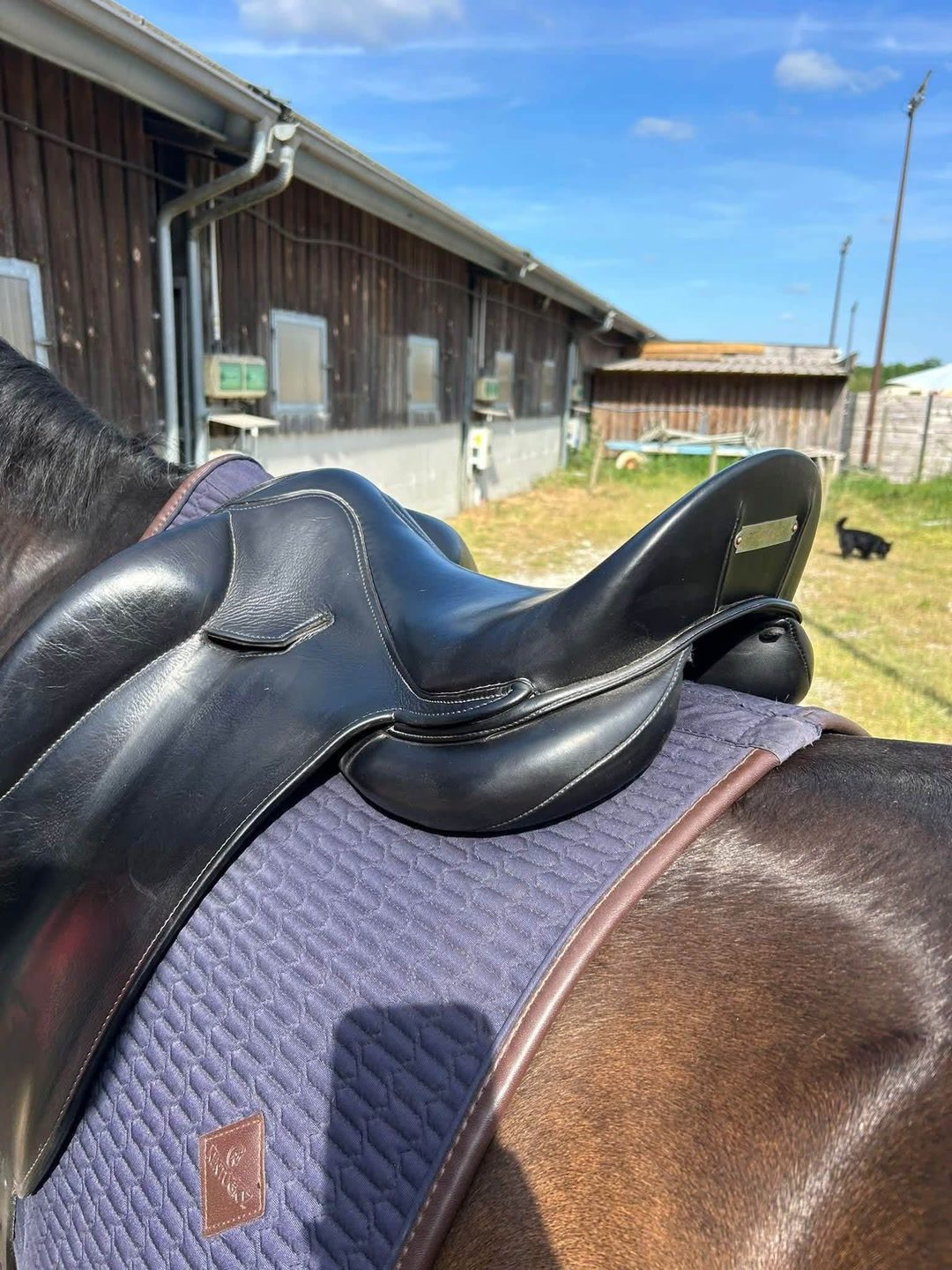Selle de dressage MANTA 17,5, média 3