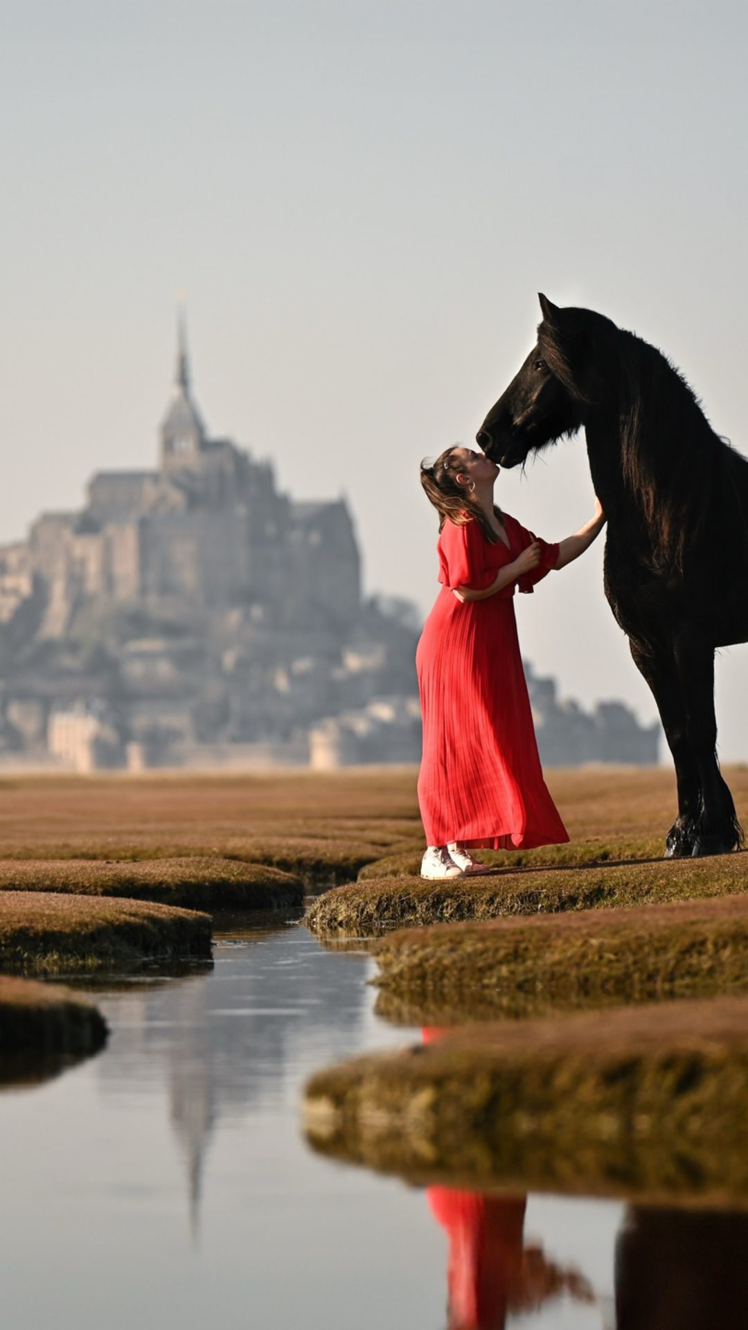 Photographe équine, média 4