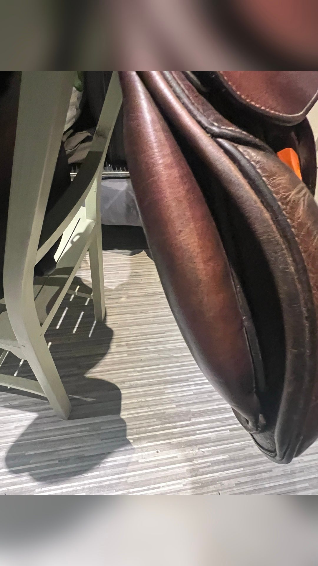 Selle GBS, média 12