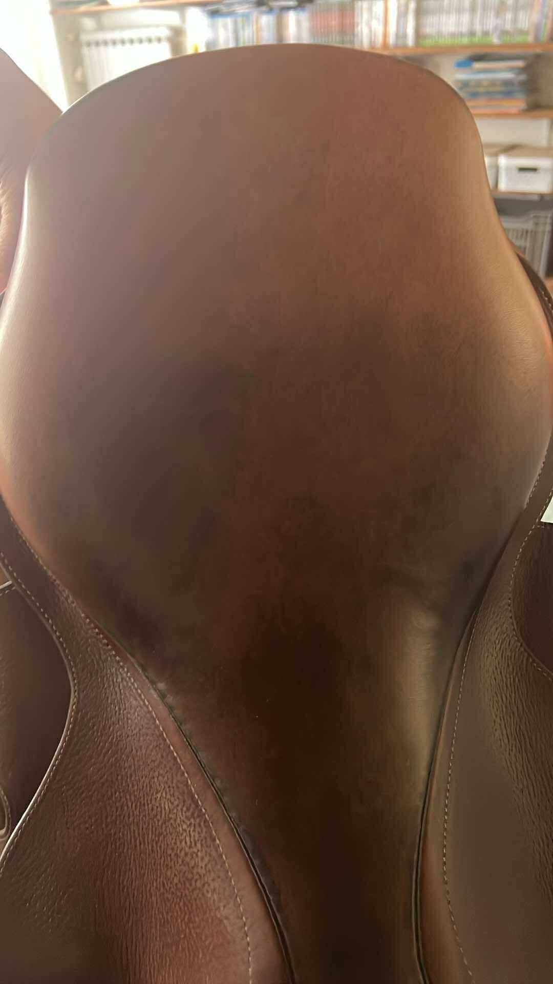 Selle GBS, média 5
