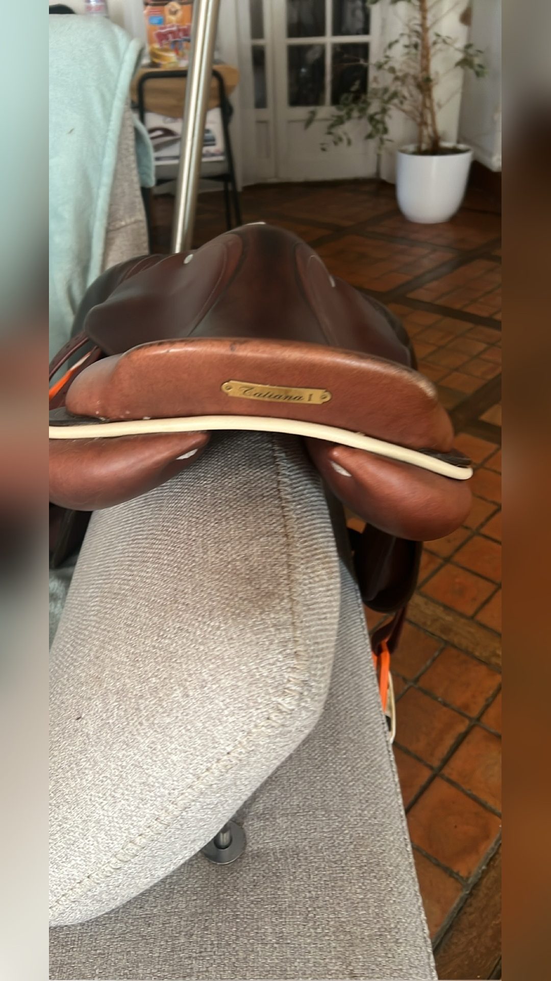 Selle GBS, média 2