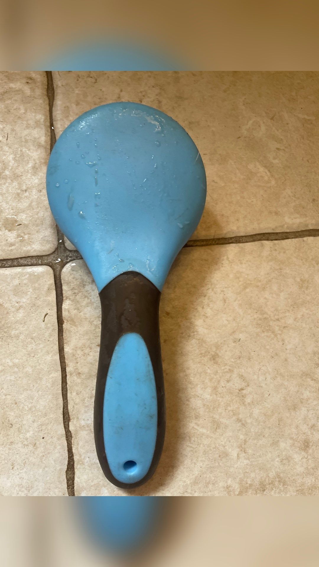 Brosse crinière, média 2