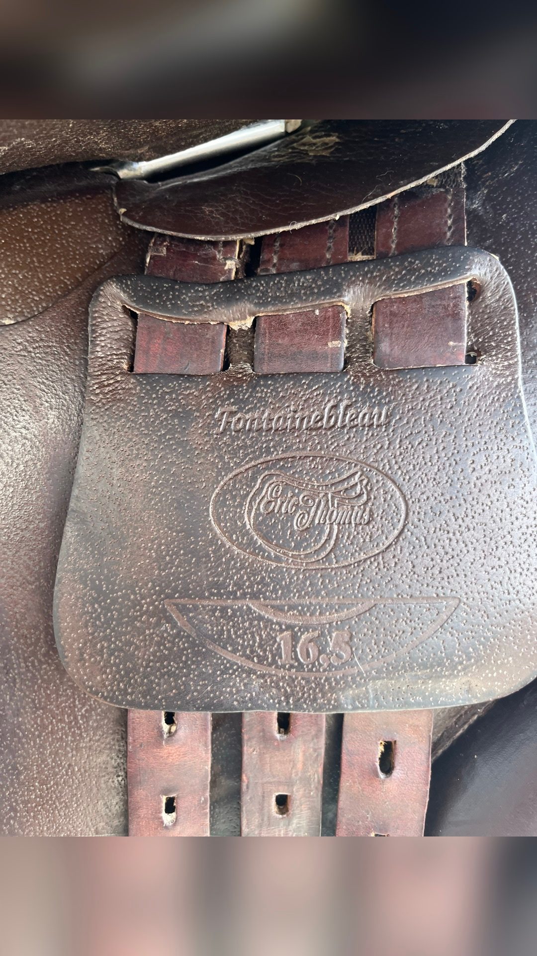 Selle cuir Eric Thomas modèle Fontainebleau, média 5