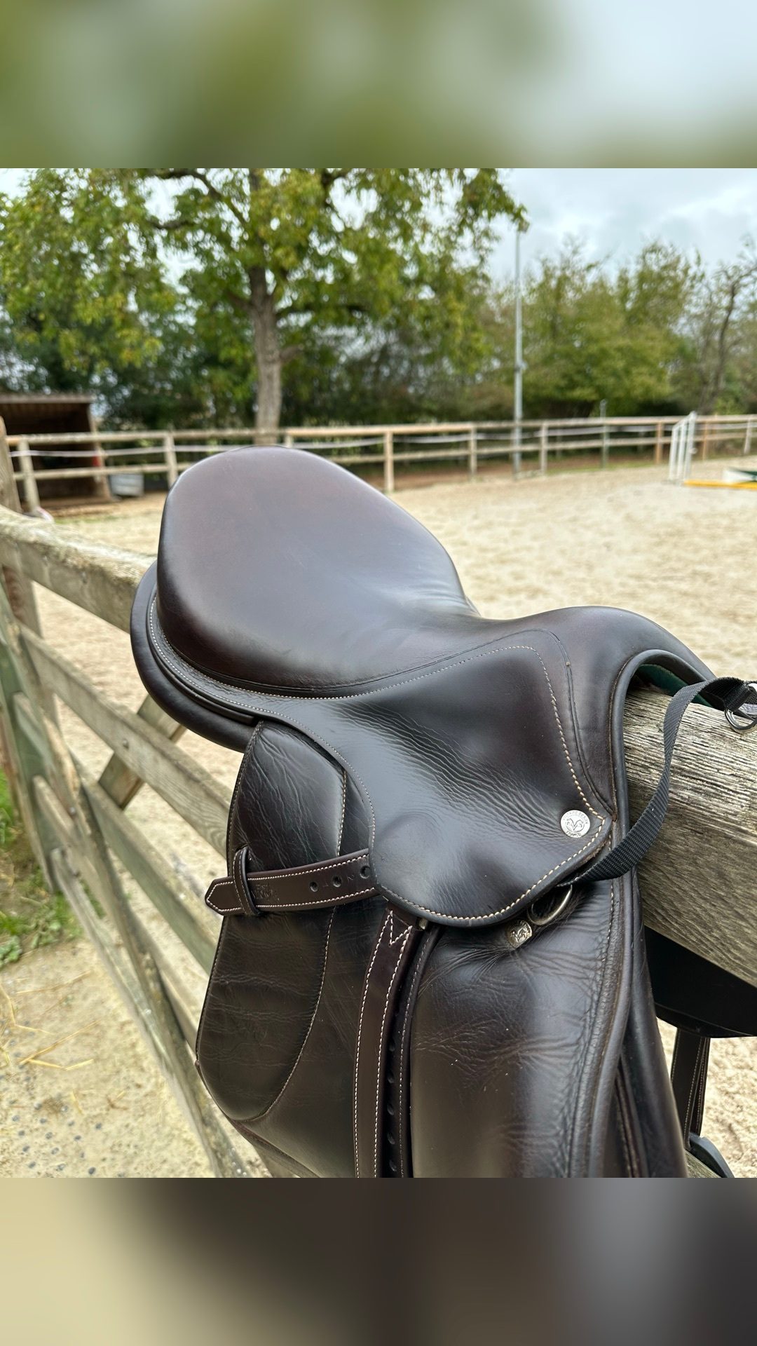 Selle Voltaire Design, média 3