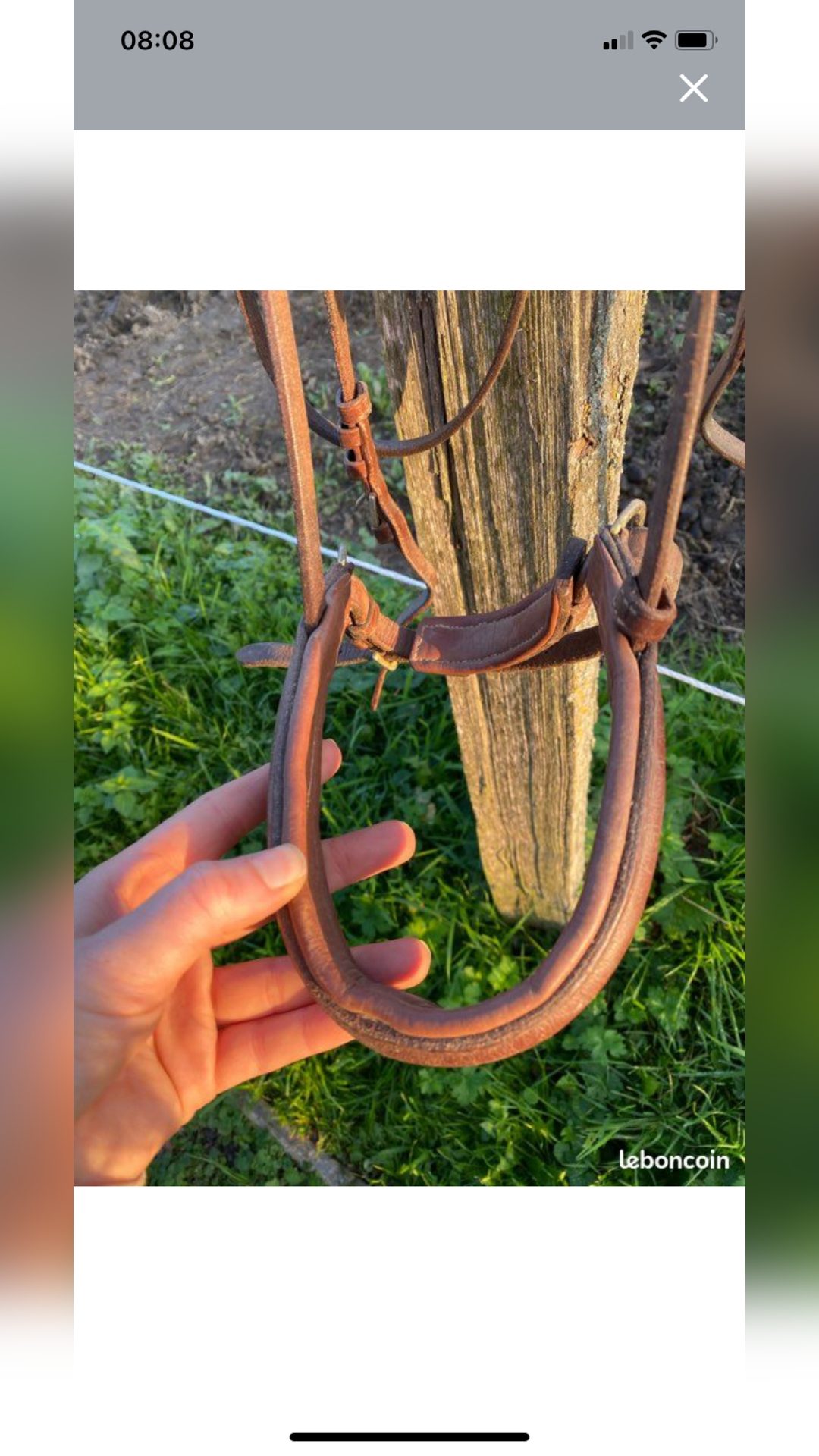 Filet cheval, média 5