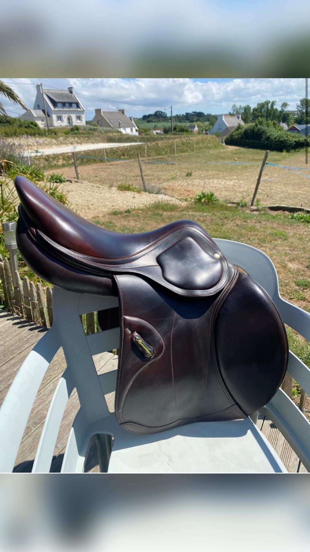 Selle Amerigo, média 2
