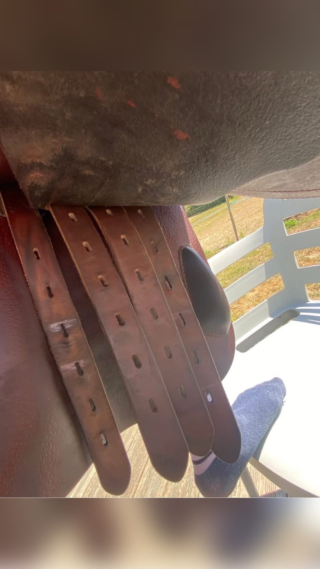 Selle Amerigo, média 4