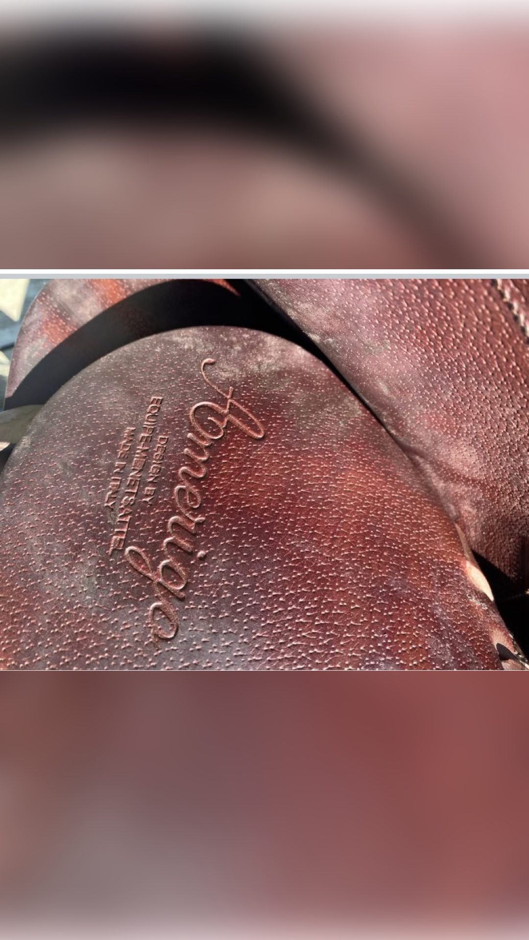 Selle Amerigo, média 3