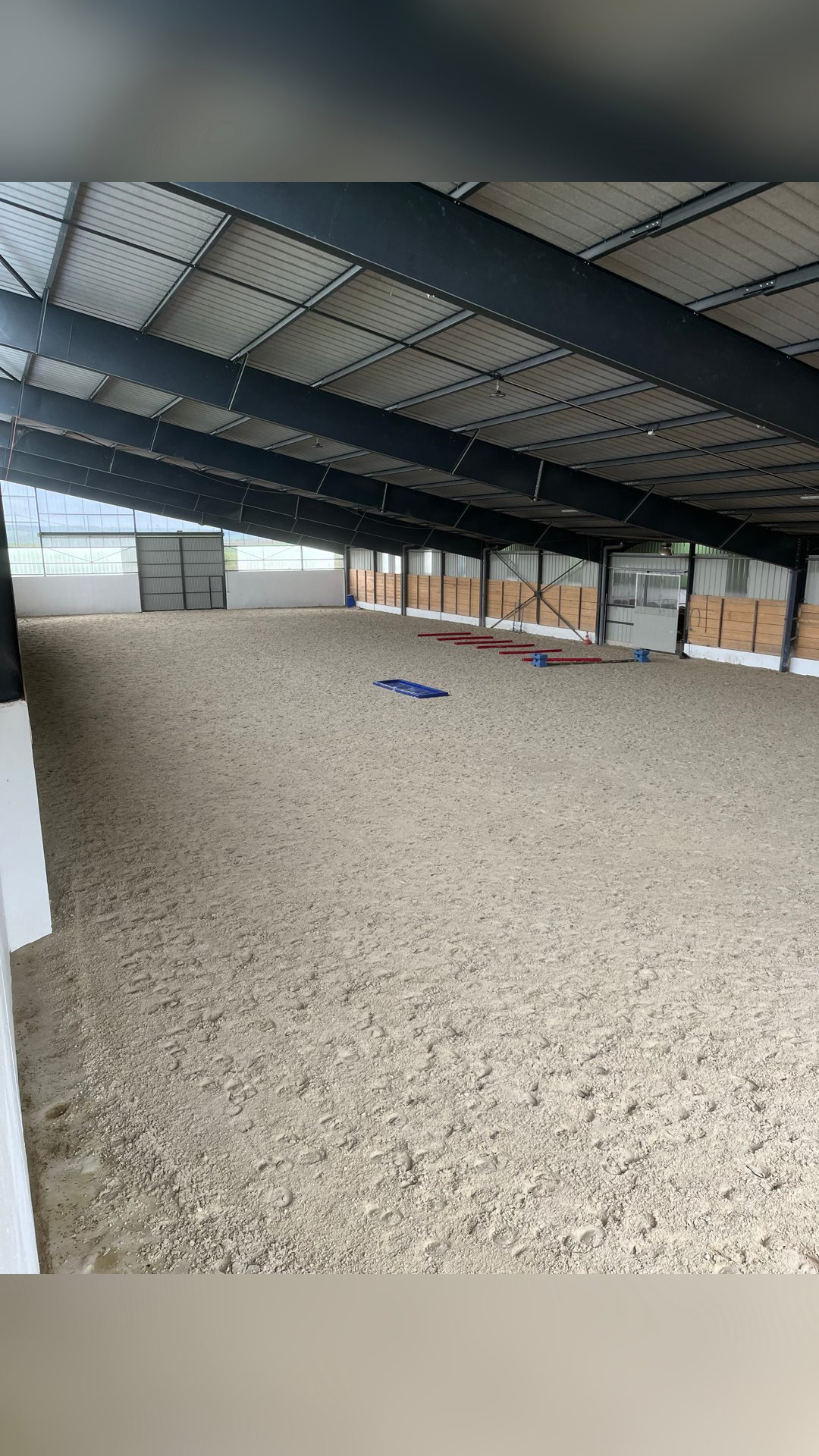 Pension pour chevaux, média 4
