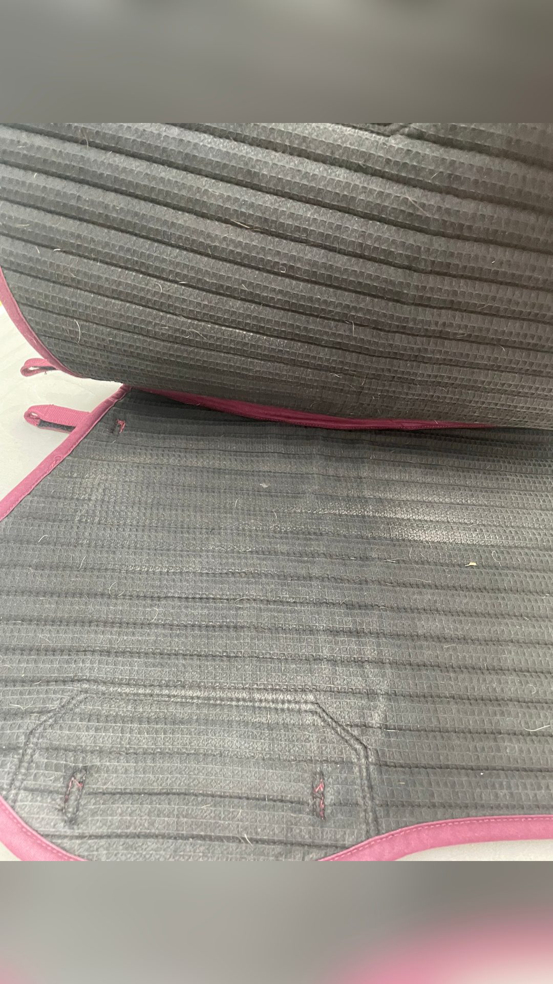 Tapis Horseware, média 6