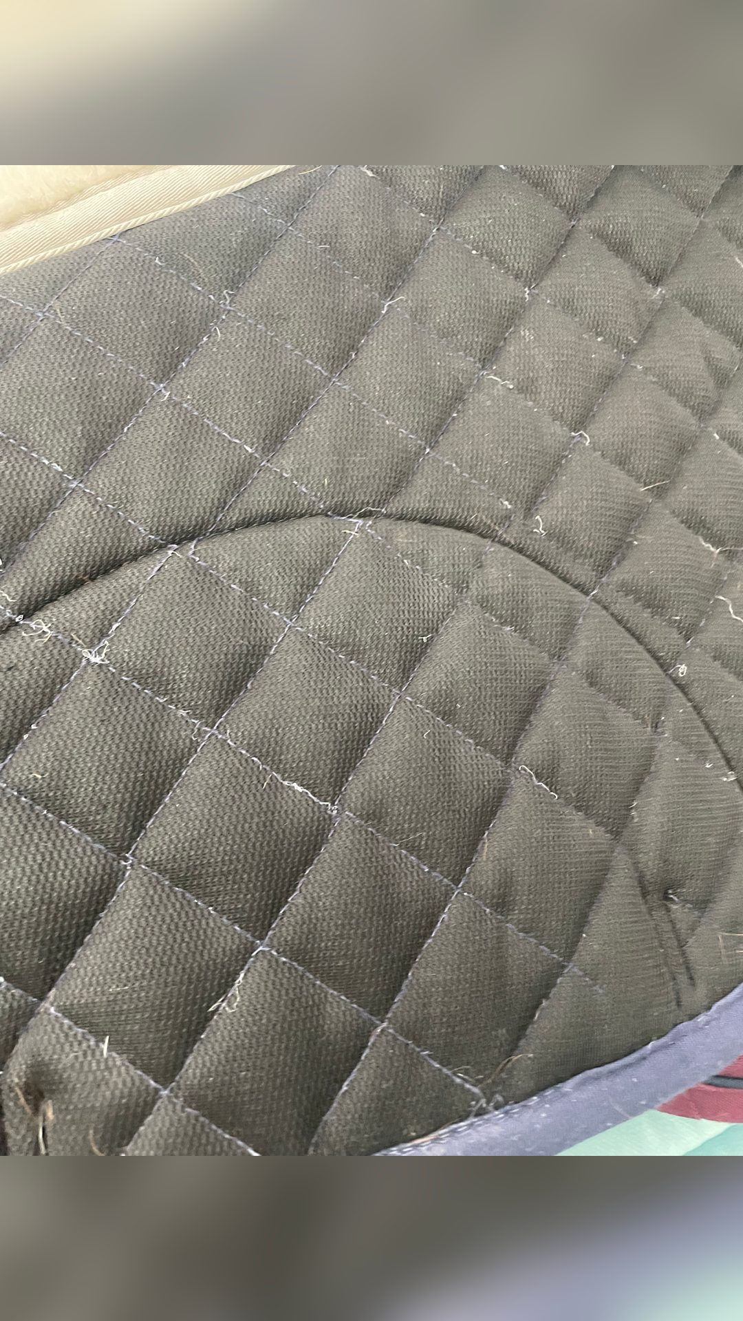 Tapis Norton, média 6