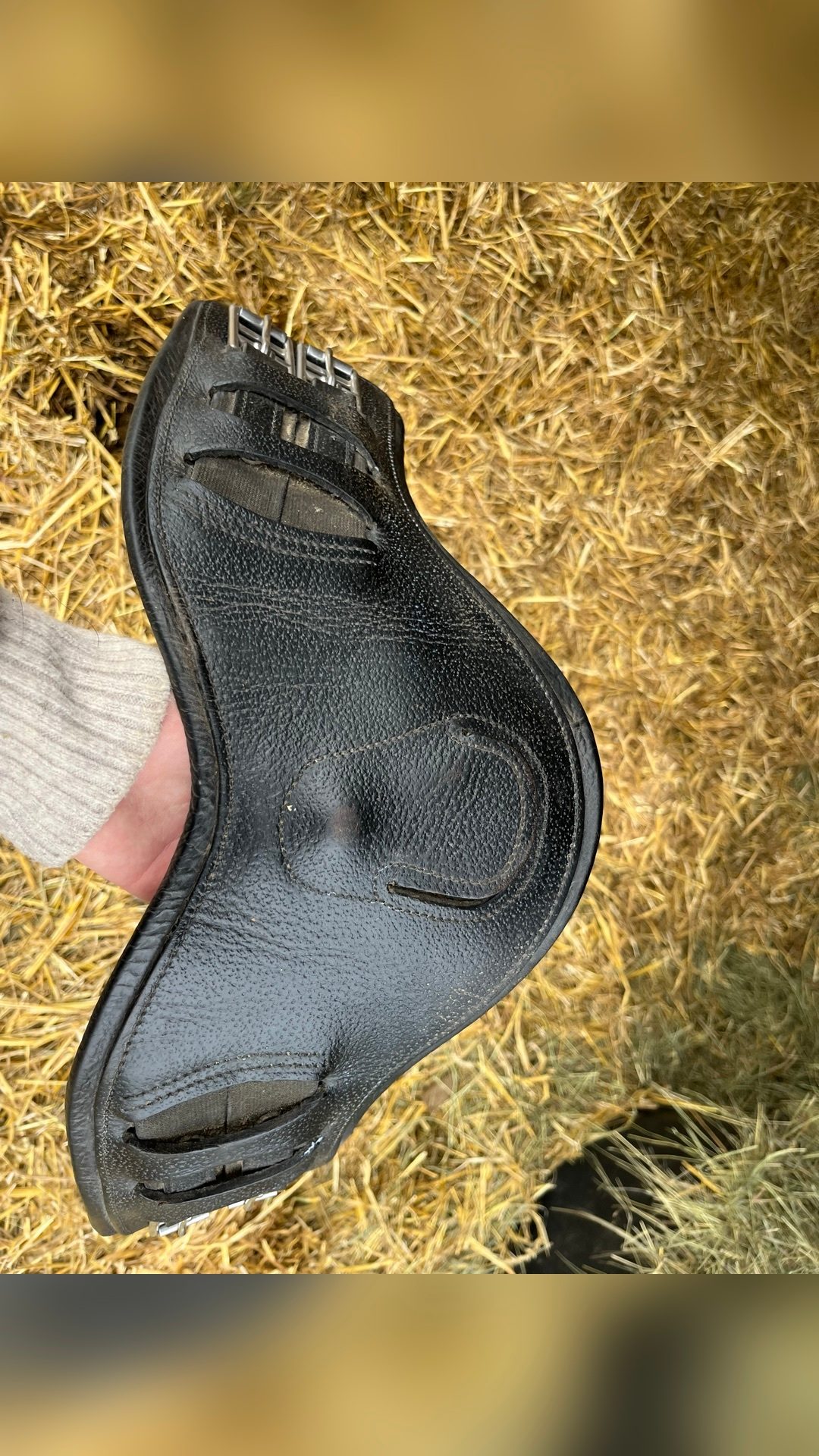 Selle de dressage Antarès Tempo, média 7