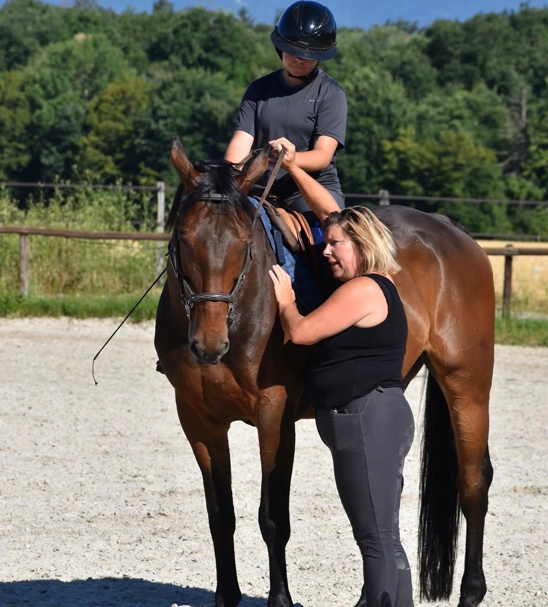 Cours d’équitation, travail du cheval, leçon particulière d’équitation, leçon collective d’équitation, stage d’équitation, coaching concours, passage des galops, média 2