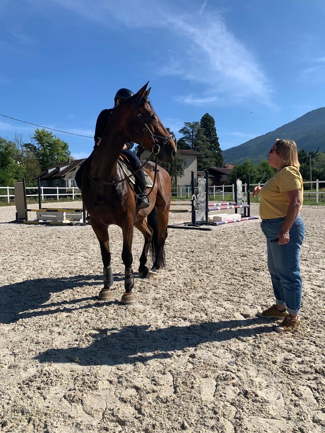 Cours d’équitation, travail du cheval, leçon particulière d’équitation, leçon collective d’équitation, stage d’équitation, coaching concours, passage des galops, média 3