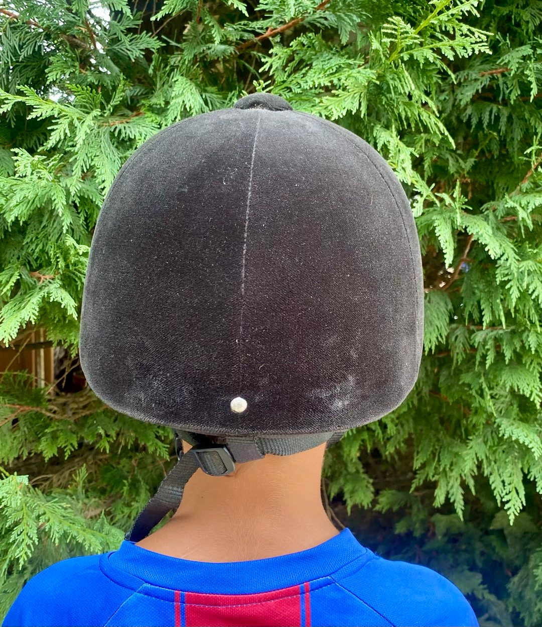 Bombe d’équitation, média 4