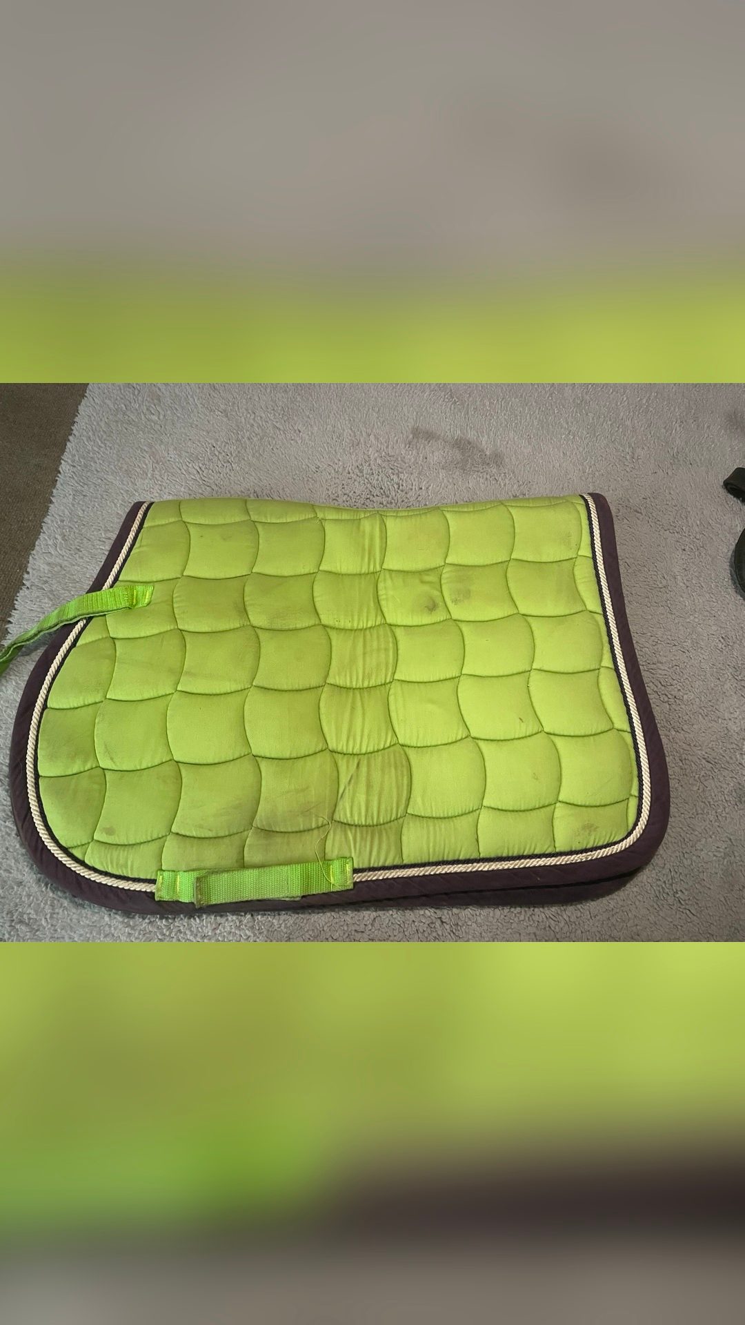Tapis d’équitation, média 3