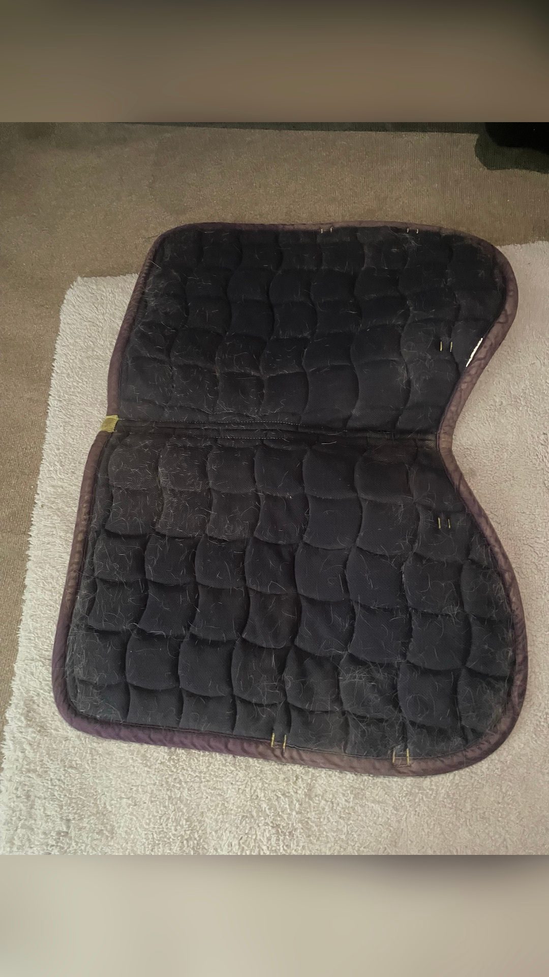 Tapis d’équitation, média 2