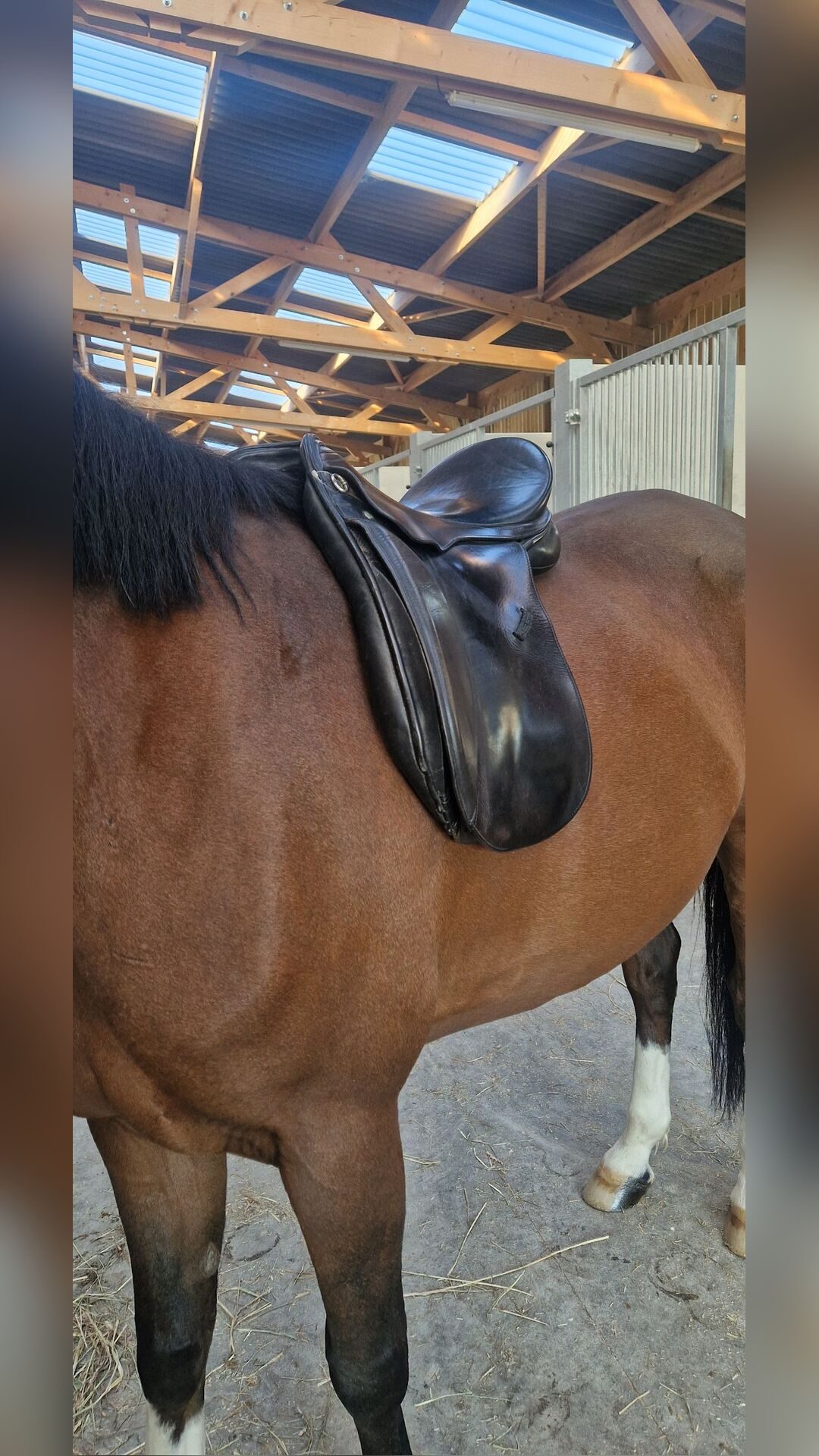 Selle de dressage à vendre, média 5