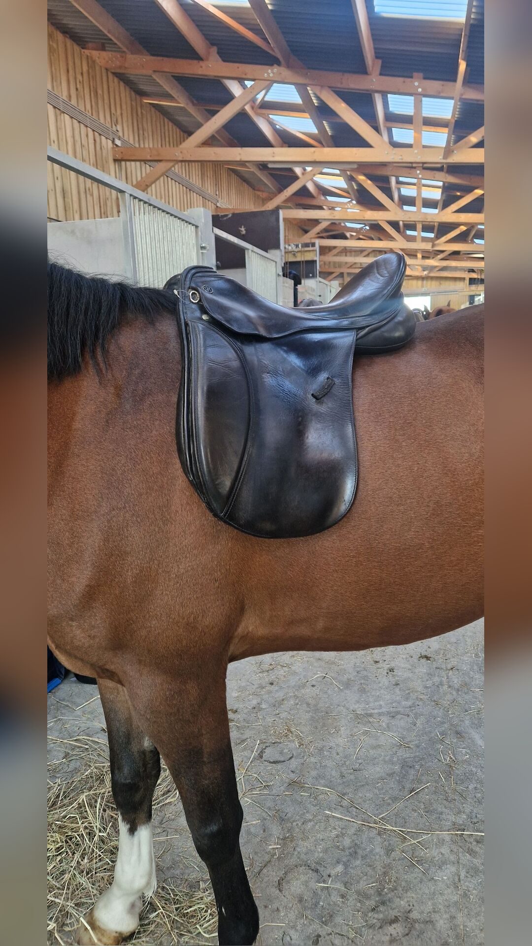 Selle de dressage à vendre, média 7