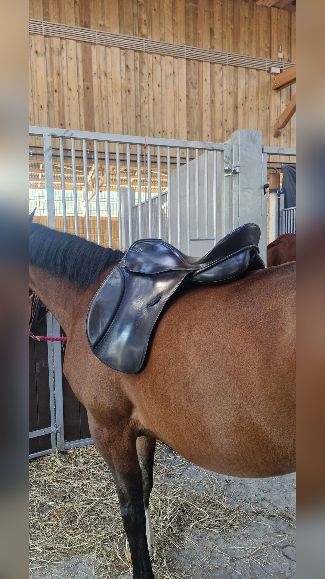 Selle de dressage à vendre, média 8