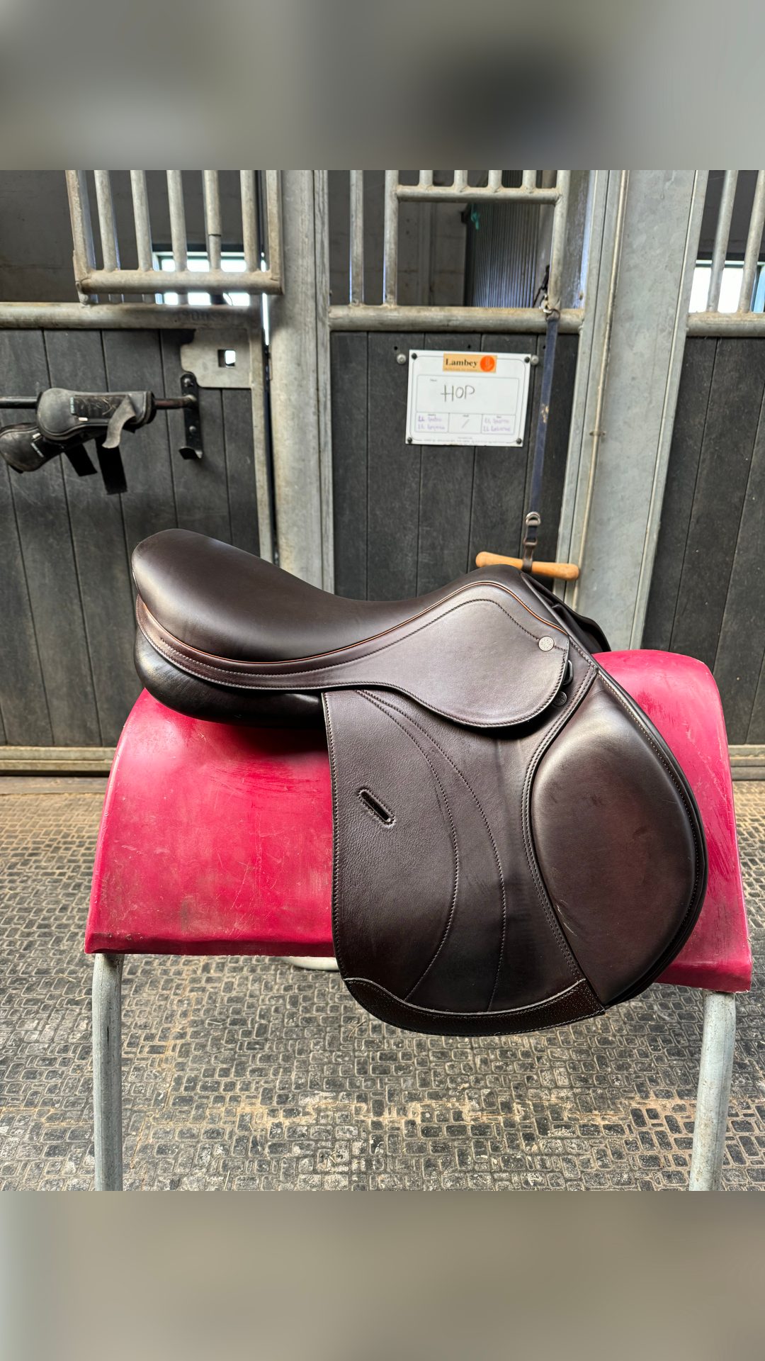 Selle Équipe Expression 17’5, média 2