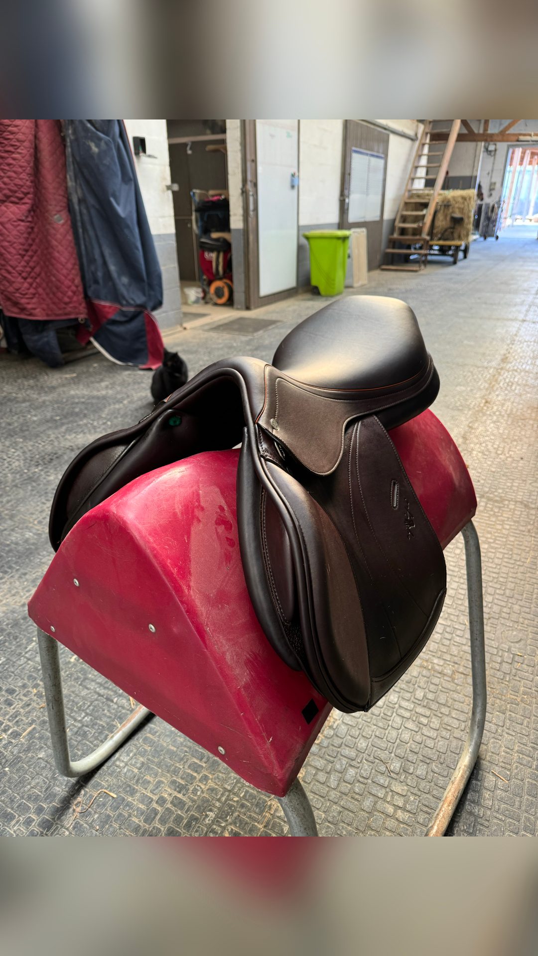Selle Équipe Expression 17’5, média 3