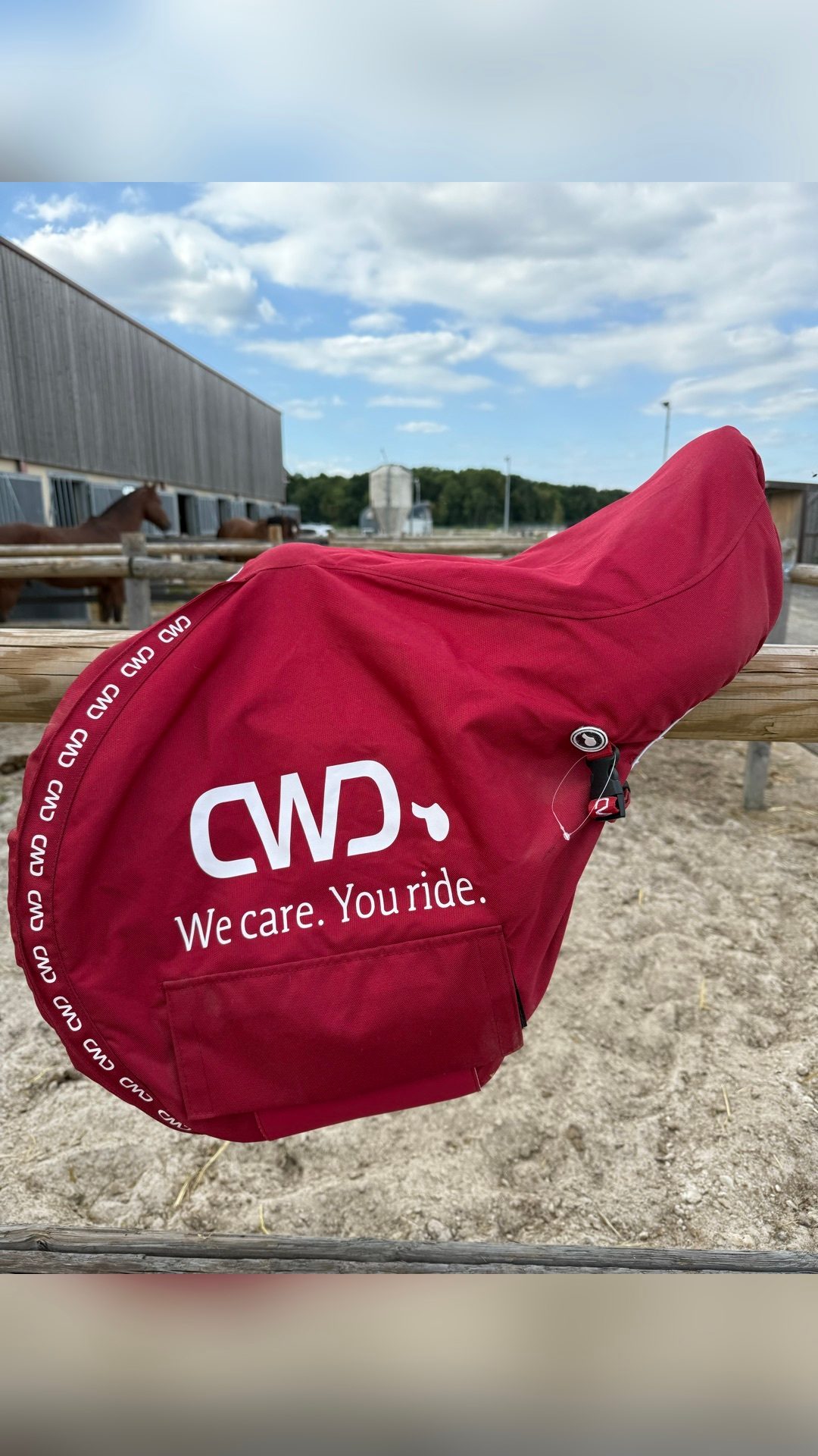 Selle CWD, média 6
