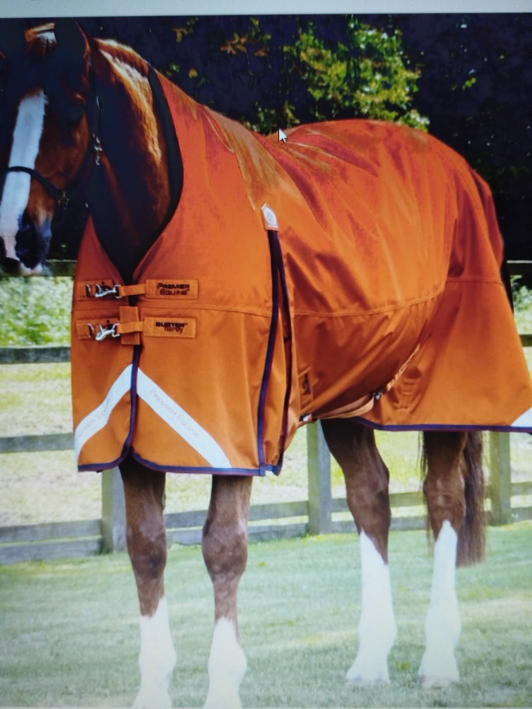 Couverture imperméable Buster Hardy 200g demi cou orange, média 2