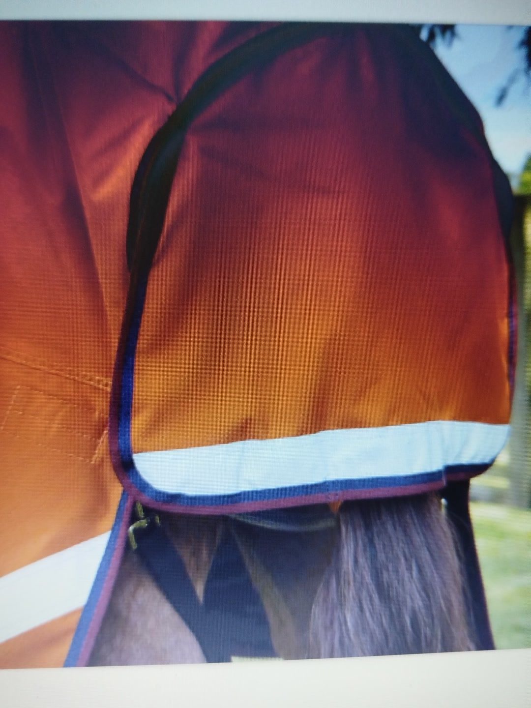 Couverture imperméable Buster Hardy 200g demi cou orange, média 6
