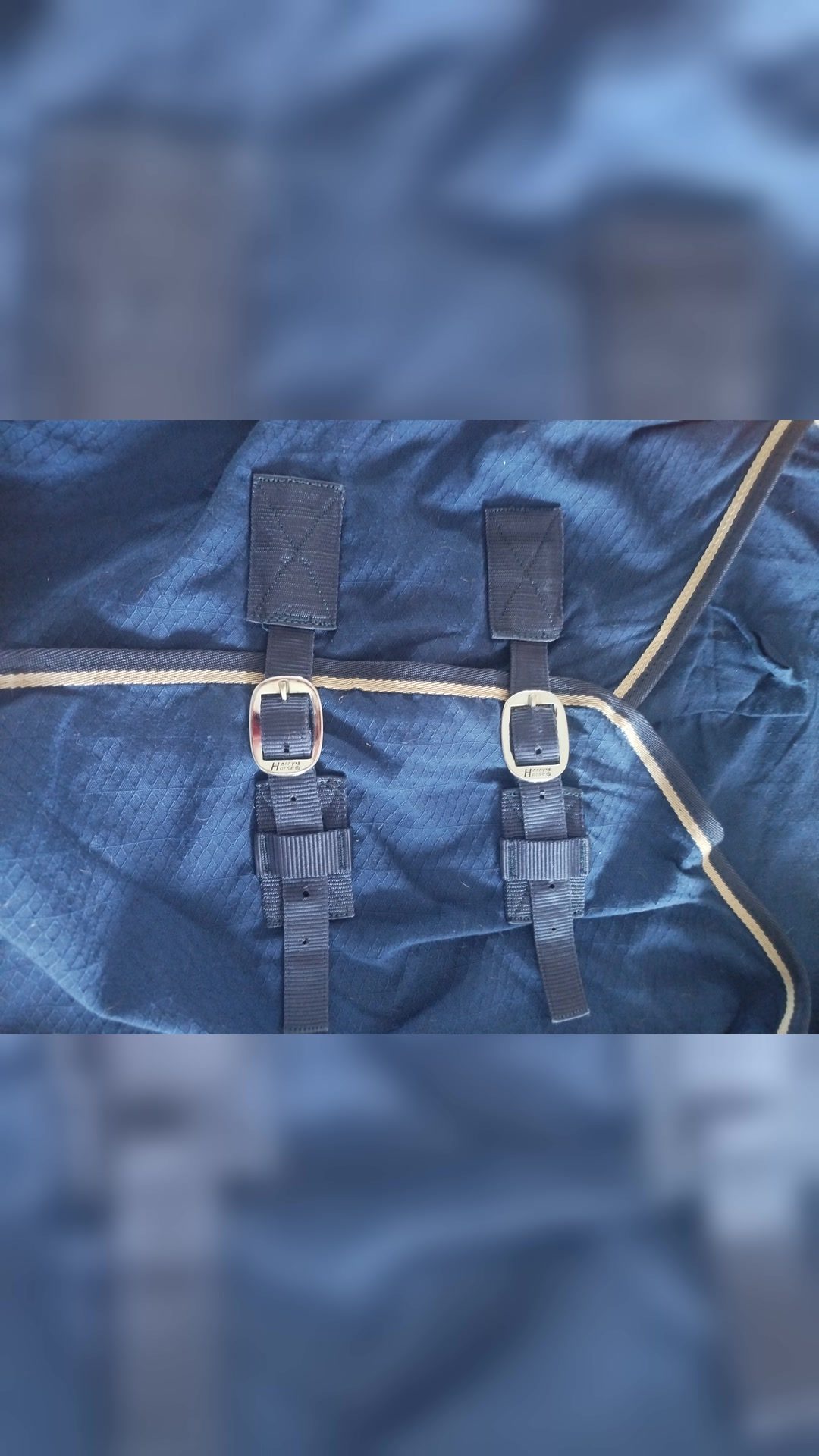 Chemise d'écurie Harry's Horse bleu taille 135 cm, média 2