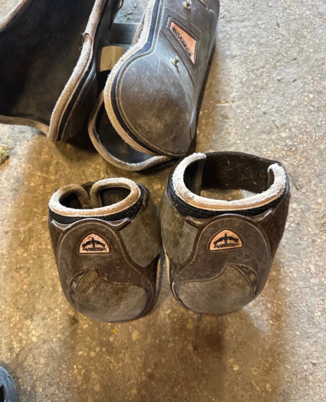 Lot guêtres taille L, média 4