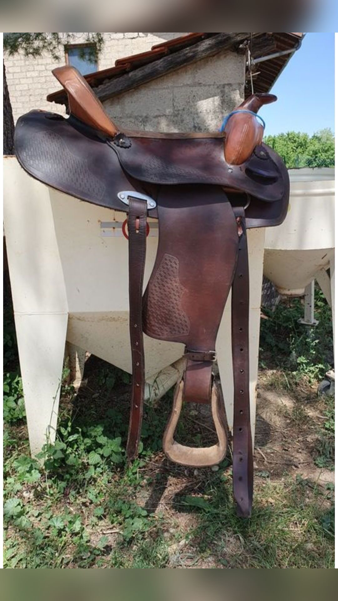 Selle Western, média 3