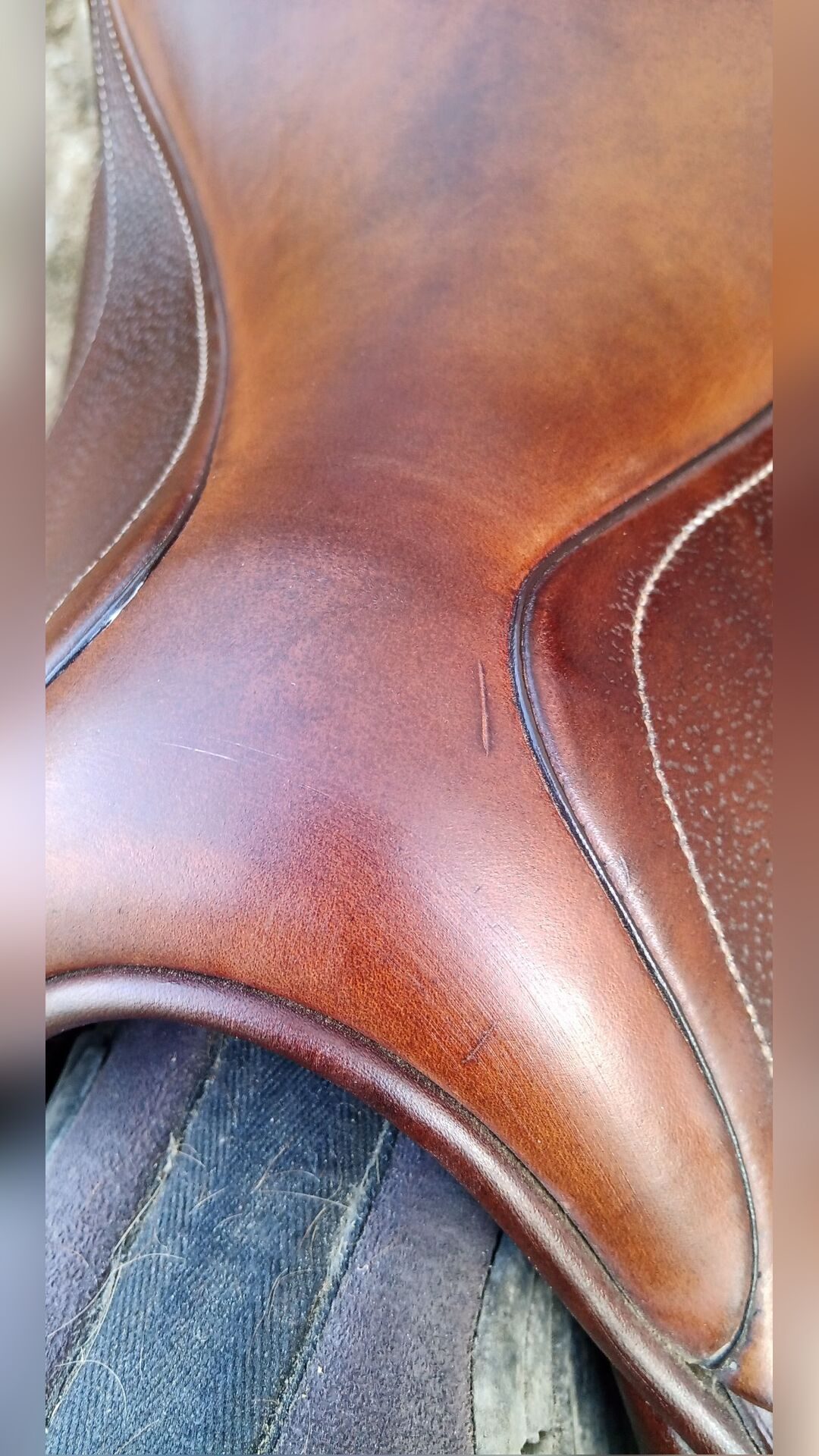 Selle Antarès, média 3