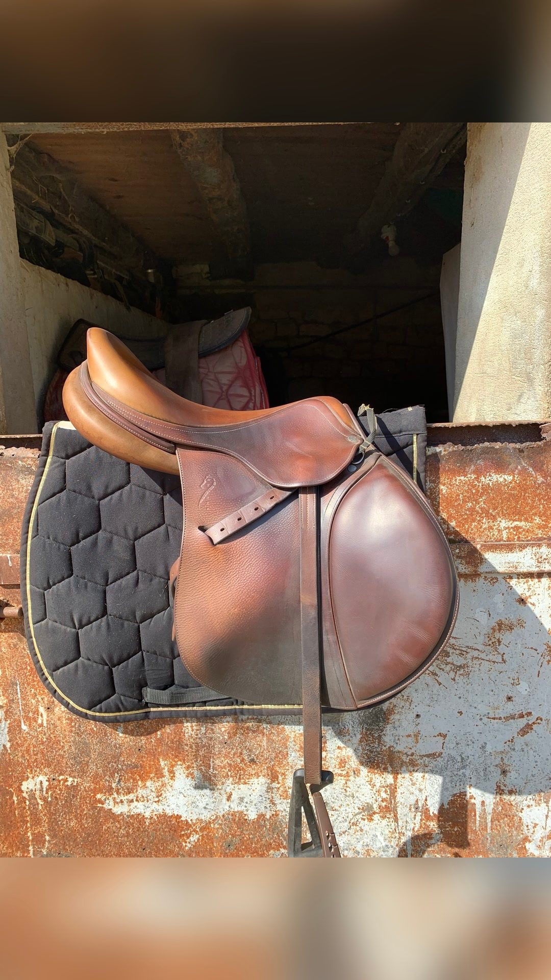 Selle Antarès, média 4