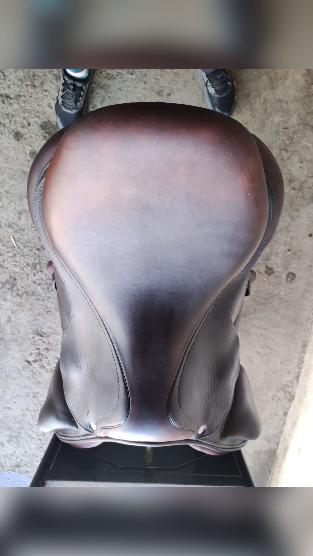 Selle Antarès 17p monoquartier, média 2