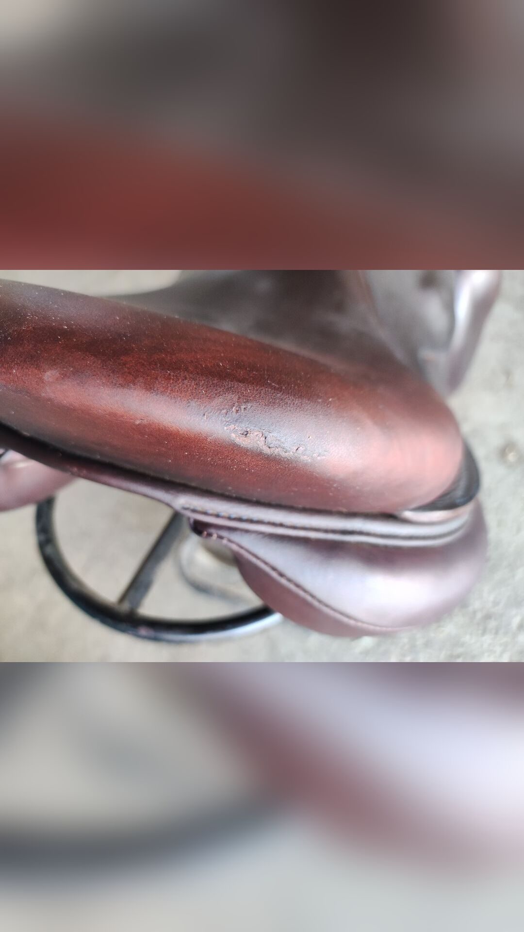 Selle Antarès 17p monoquartier, média 5