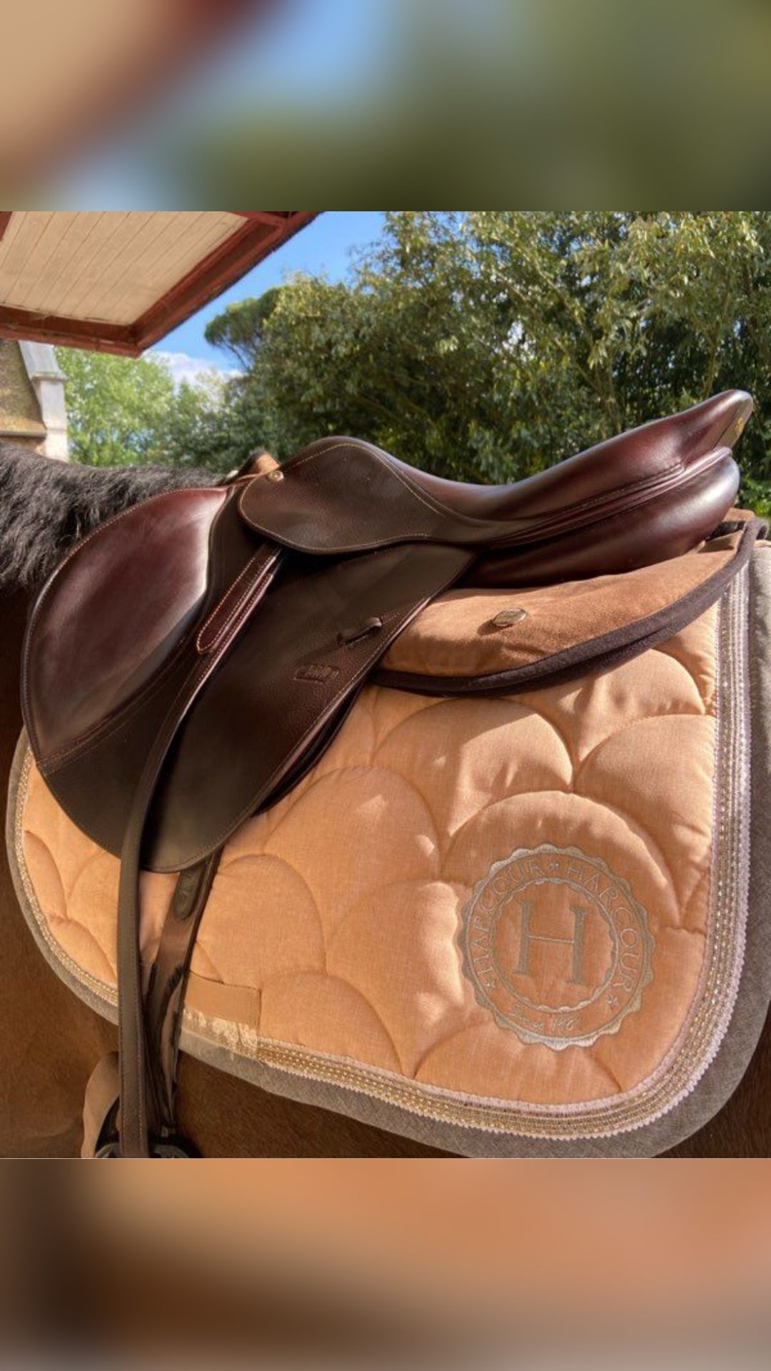 Selle CWD 01 18’, média 2