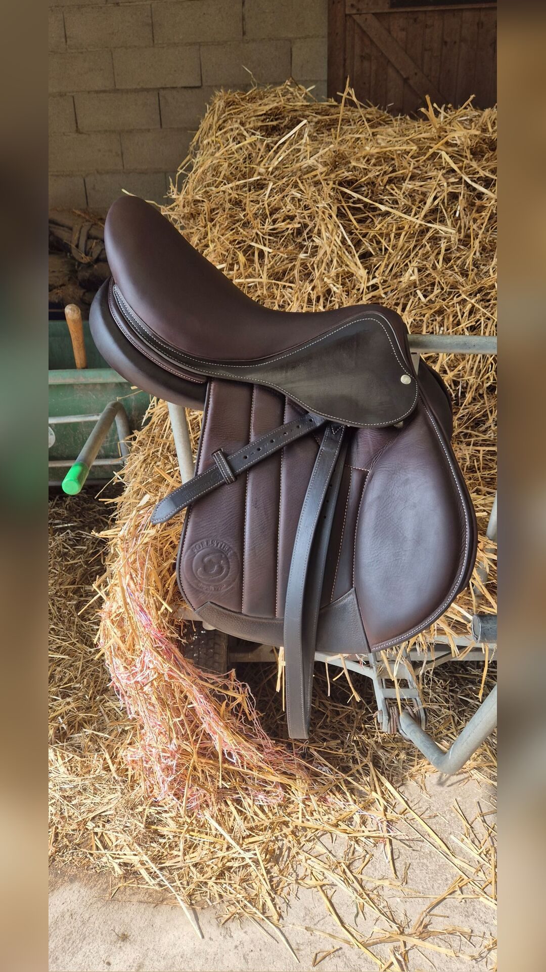 Selle forestier, média 2