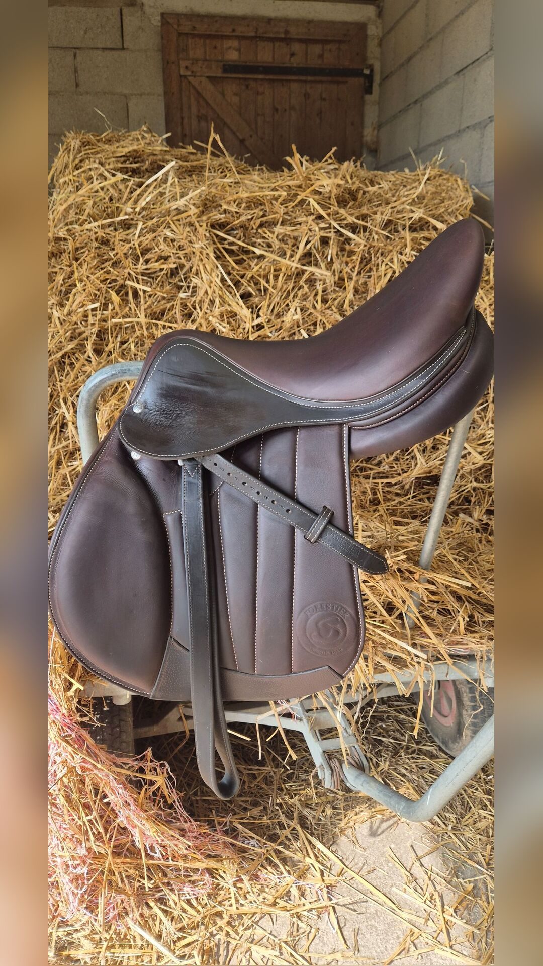 Selle forestier, média 3