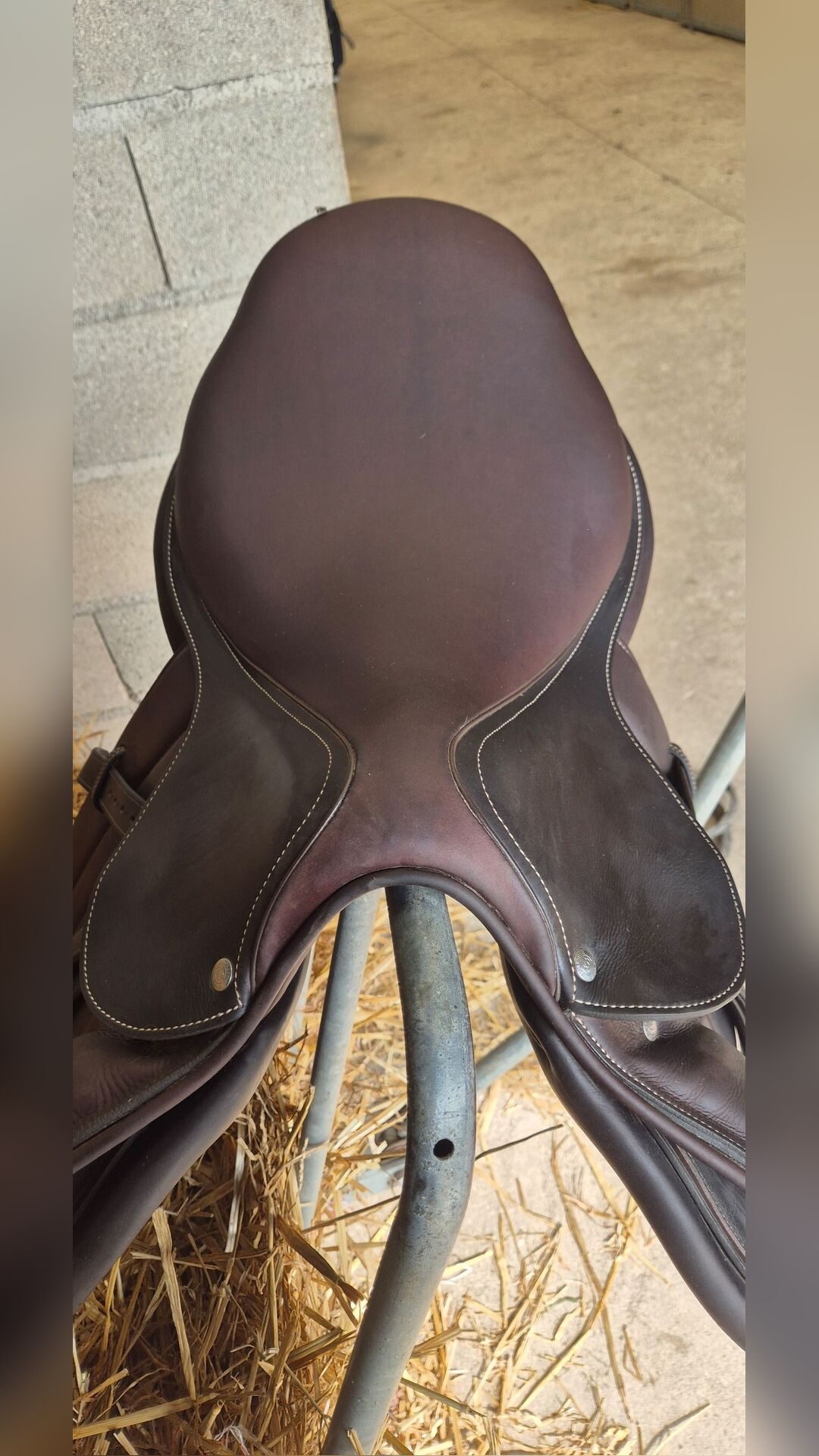 Selle forestier, média 4
