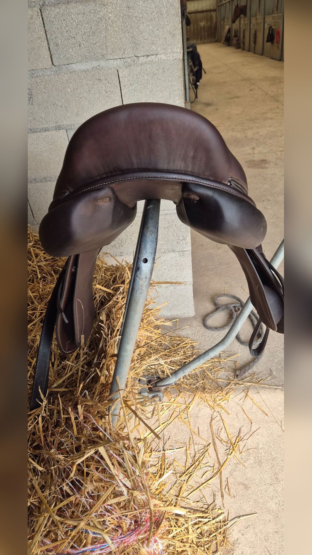 Selle forestier, média 5