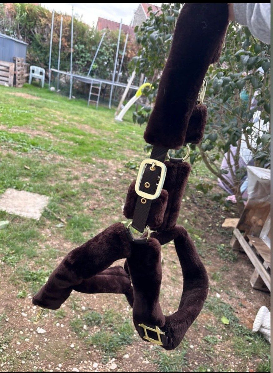 Licol en moumoute marron, média 2
