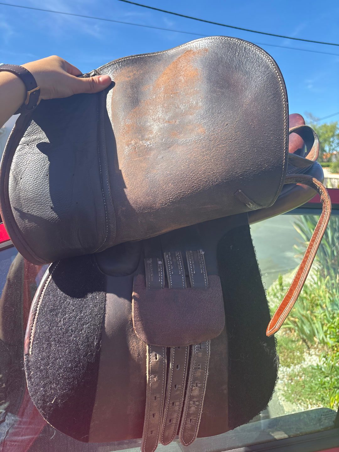Selle Protanner, média 4