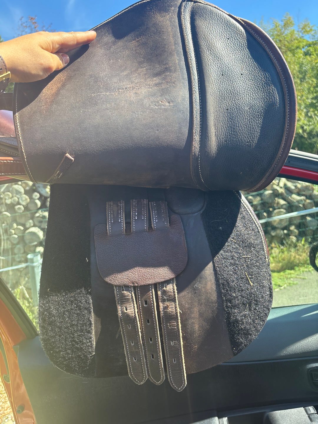 Selle Protanner, média 2